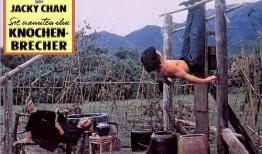 成龙爆料醉拳视频,独家爆料幕后精彩瞬间